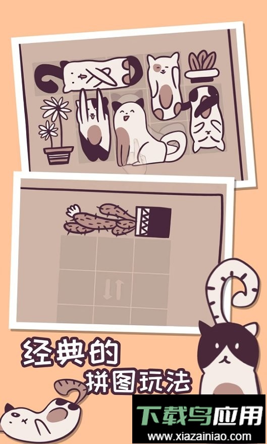 井然有猫游戏最新版截图3