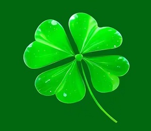 看剧剧官方最新版2024