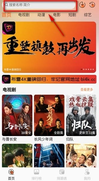 布雷4k影视app下载