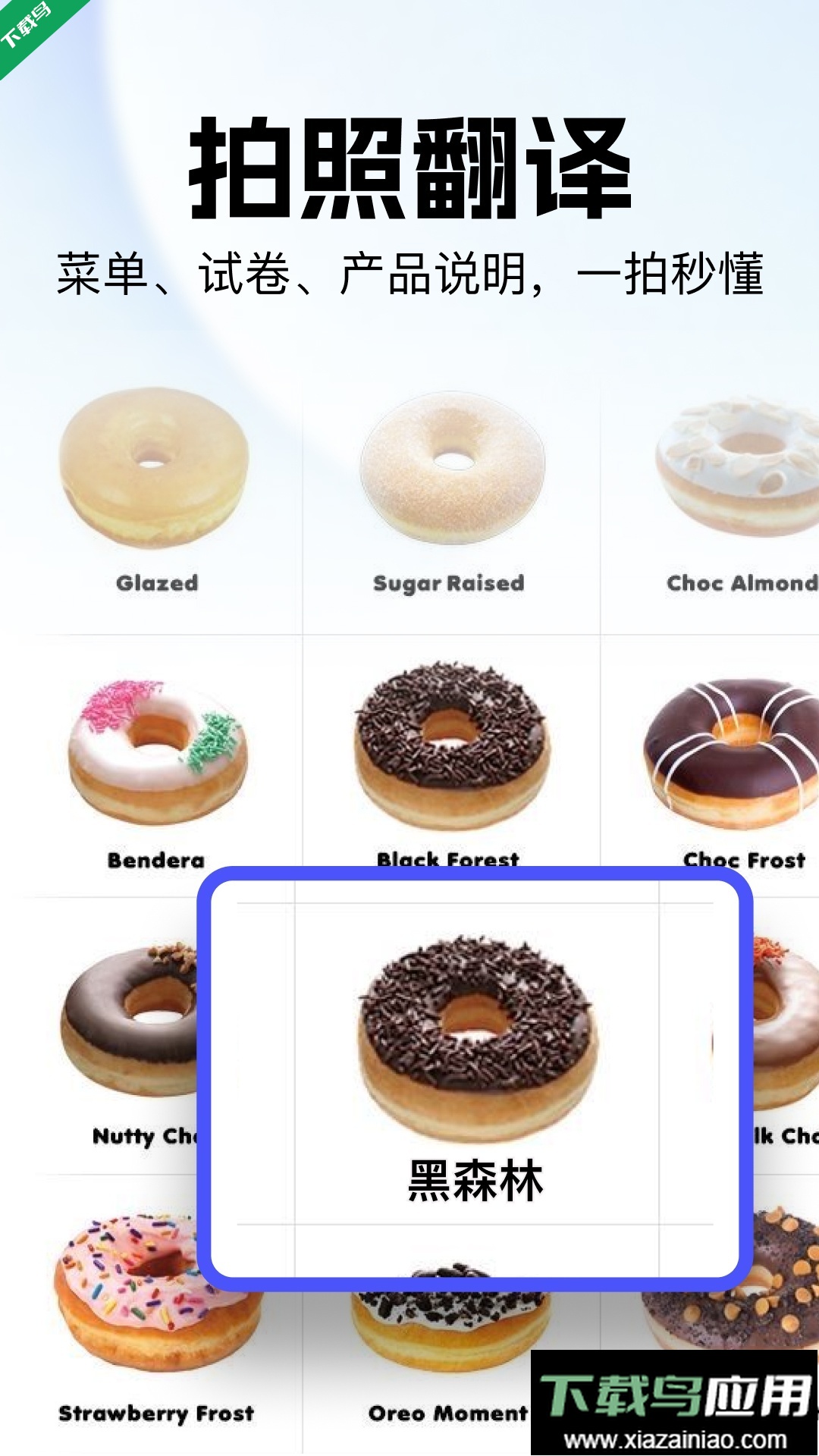 极速翻译官免费下载最新版截图3