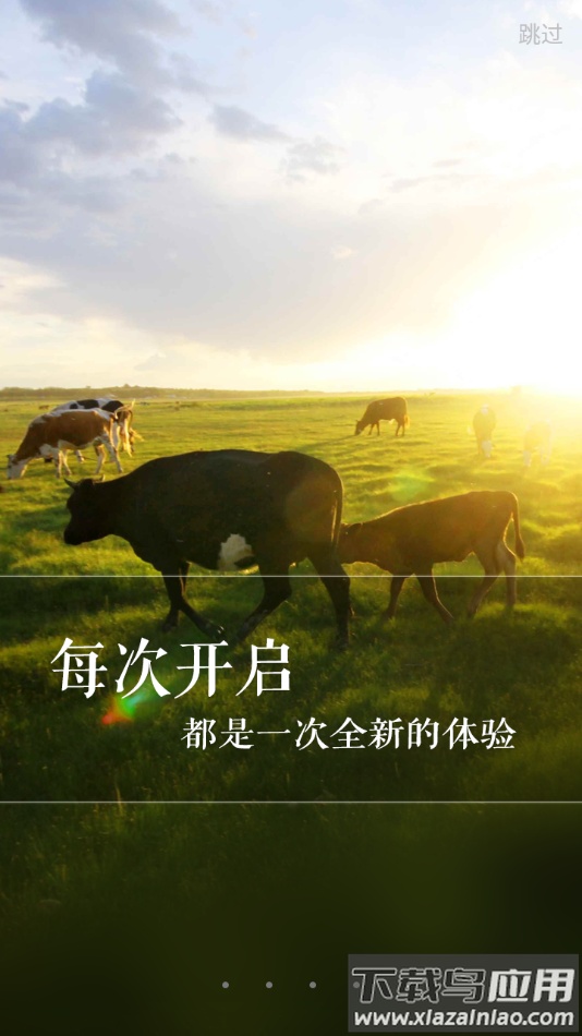 新牛智能app下载安装最新版截图4