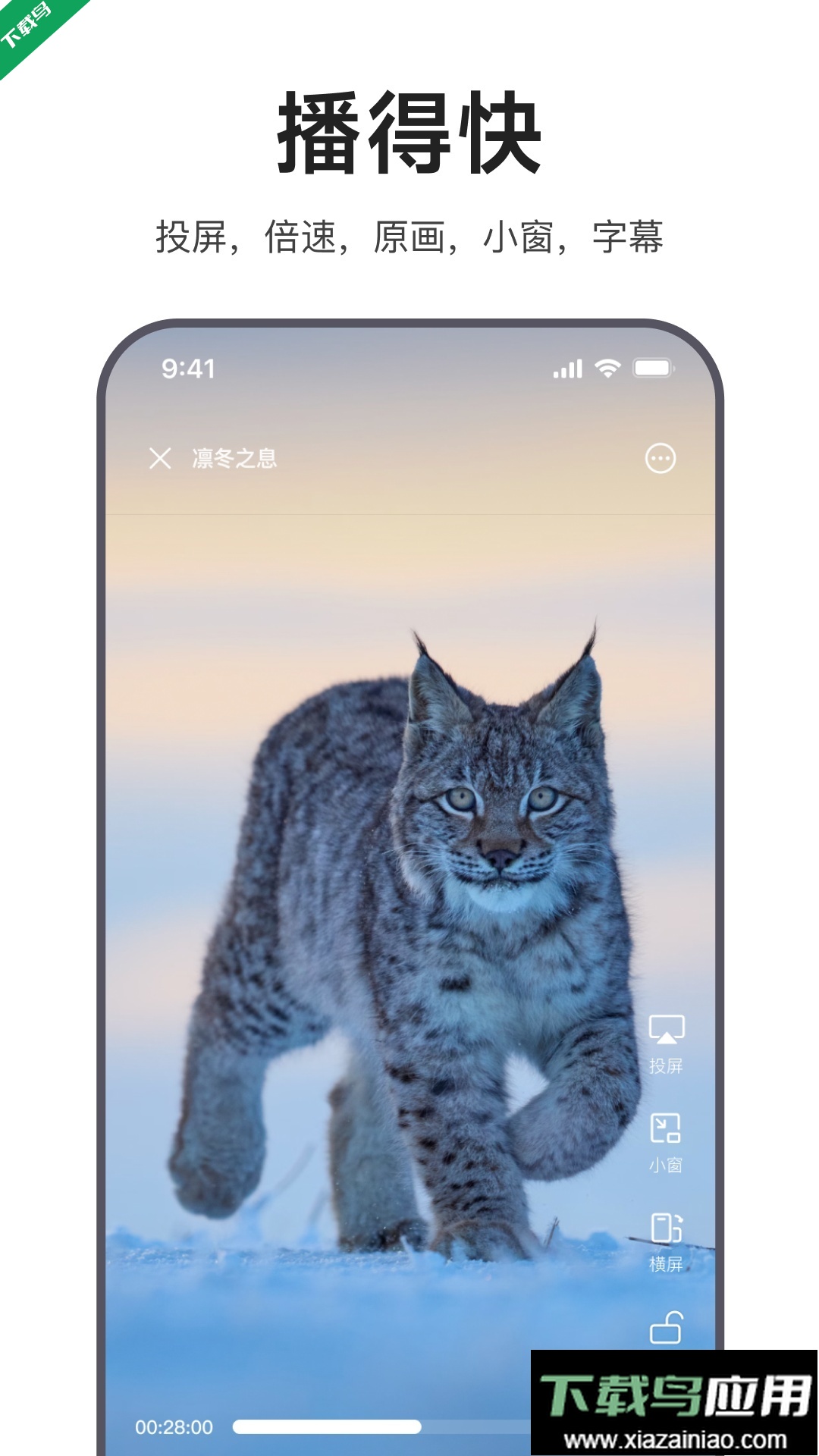 迅雷浏览器官方正版下载截图4