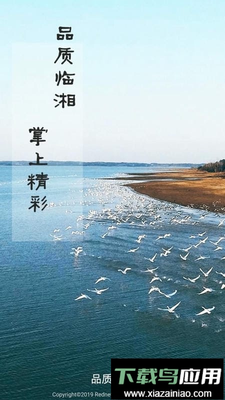 品质临湘手机版截图