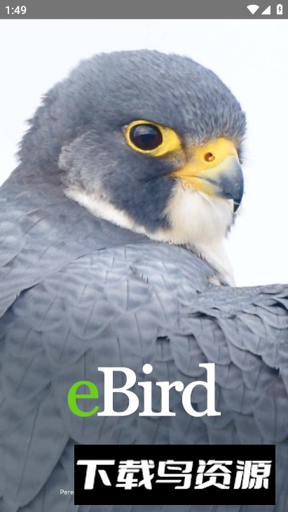 eBird软件安卓版最新版截图5