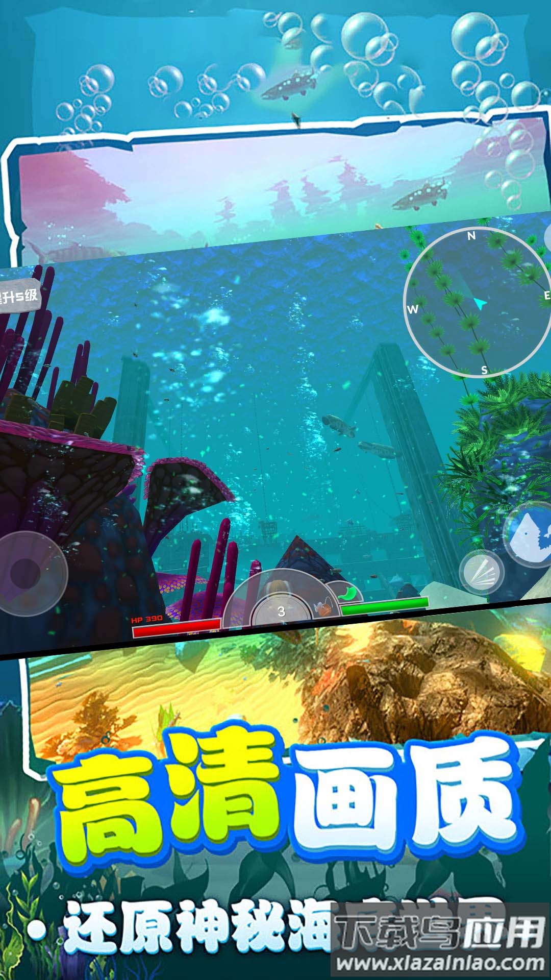 鲨鱼进化模拟器游戏下载安装最新版截图4