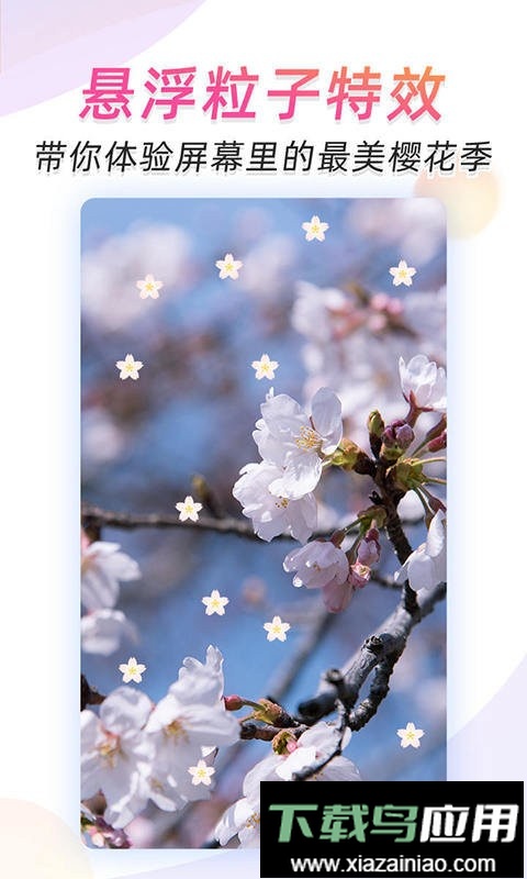 微视频壁纸最新版本最新版截图3