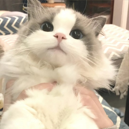 牢大防火墙官方正版