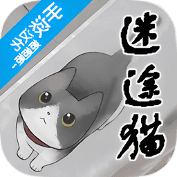 迷途猫游戏