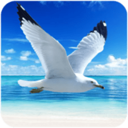 海鸥模拟器手机版