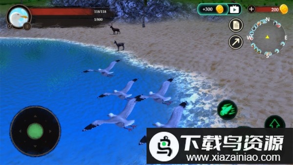 海鸥模拟器手机版最新版截图1