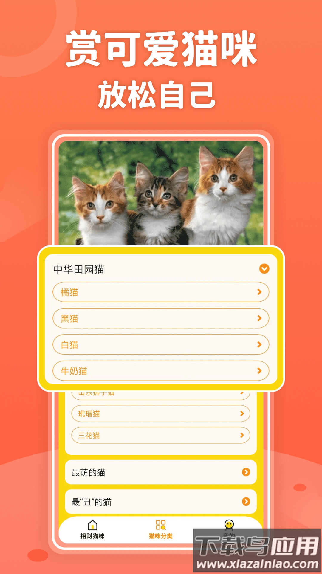 招财进猫最新版截图1