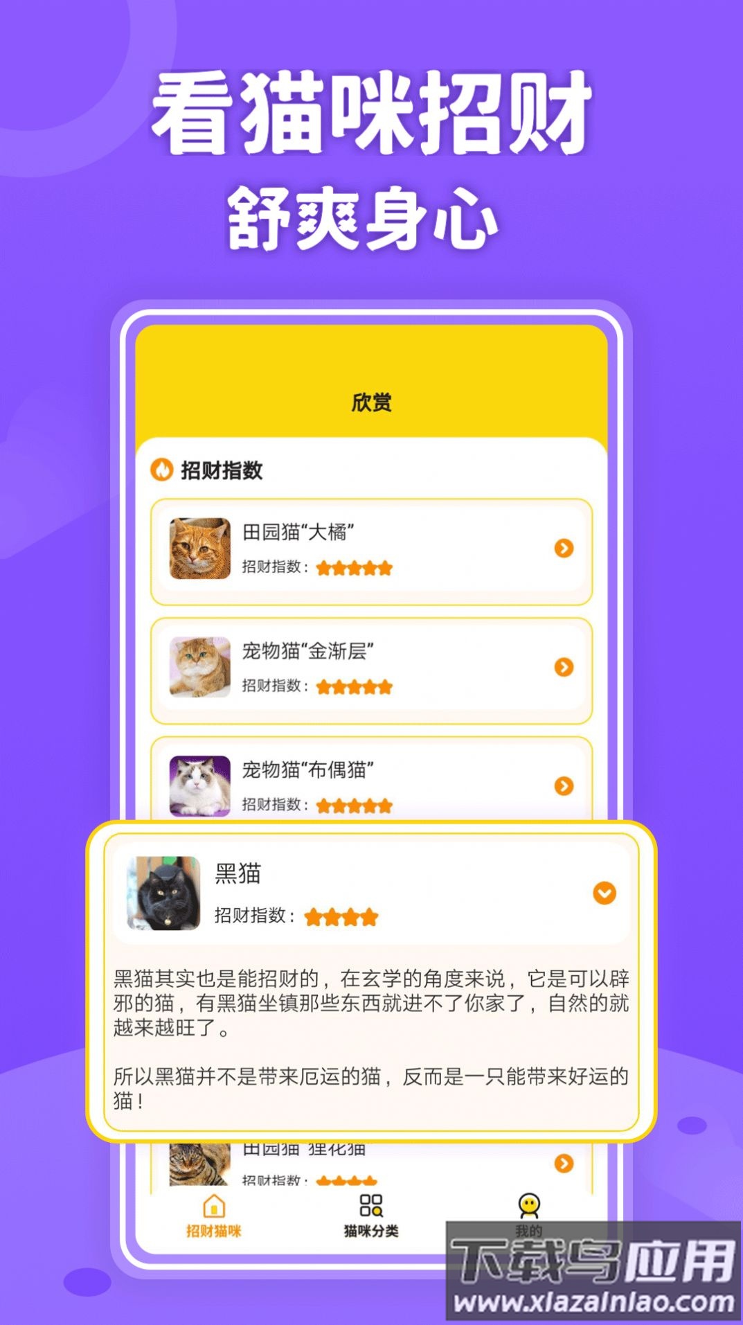 招财进猫最新版截图3