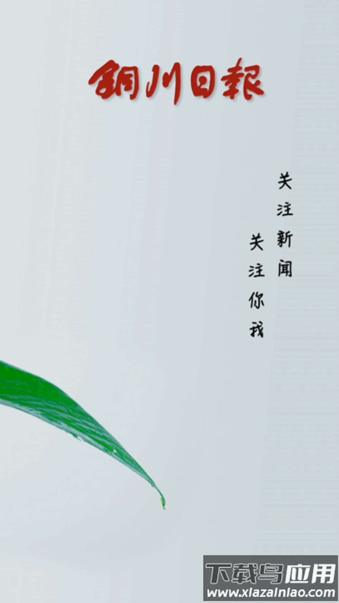 铜川传媒APP最新版截图1