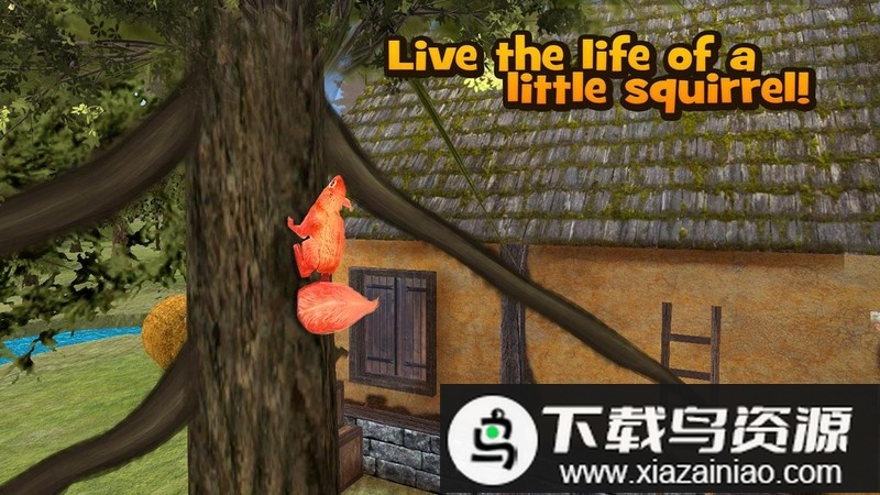松鼠模拟器3d游戏最新版截图4