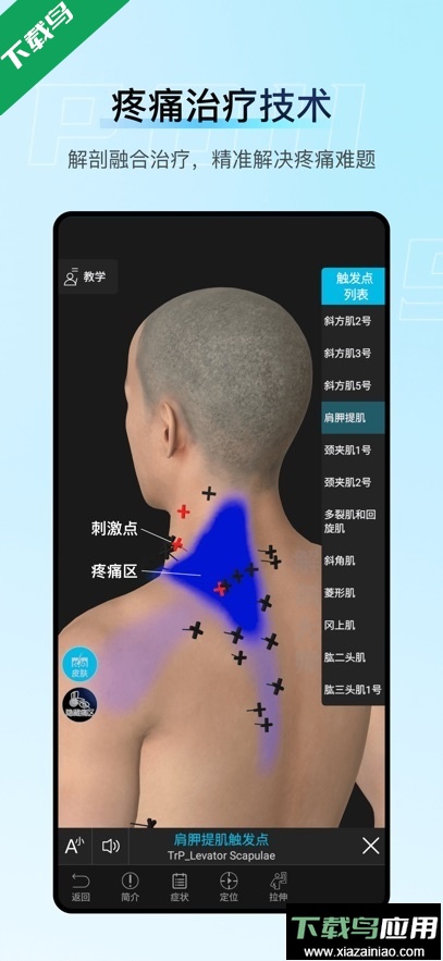 解剖大师app官方下载最新版截图3