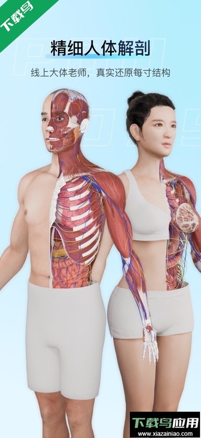 解剖大师app官方下载最新版截图4