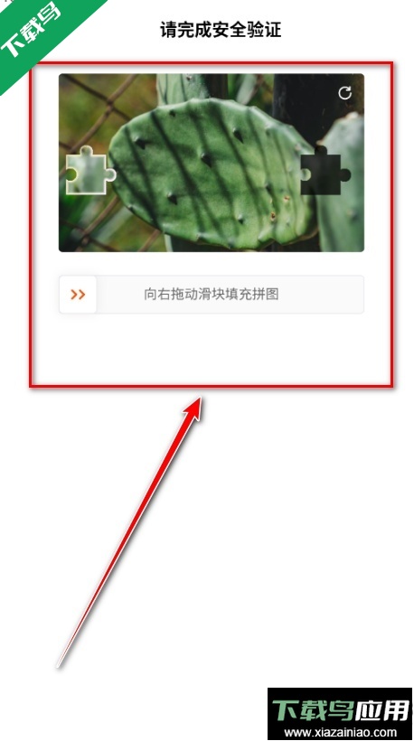 kwai快手海外版下载2026最新版截图3