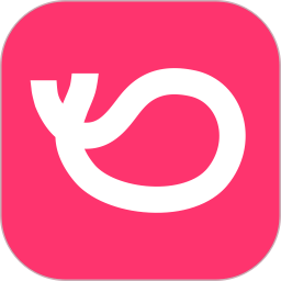 抖音灰豚数据分析平台下载