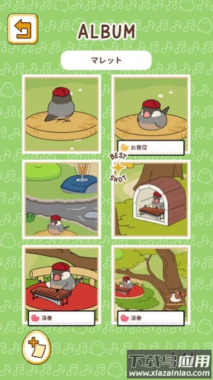 小鸟音乐会游戏下载安装(とりのおと)最新版截图3