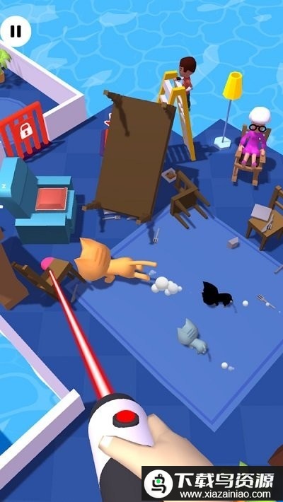 寻找我的小猫最新版最新版截图4