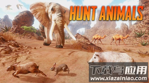 野猪模拟器下载安装截图1