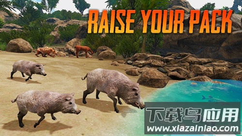野猪模拟器下载安装截图2