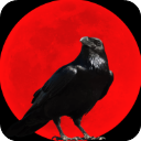 乌鸦之霜手游下载最新版