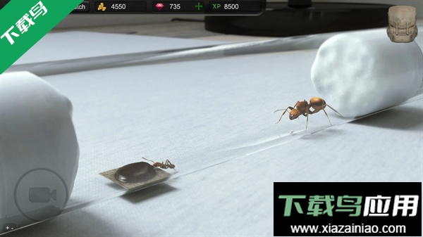 蚂蚁模拟大亨免费下载安装(Ant Sim Tycoon)最新版截图1