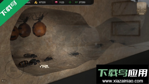 蚂蚁模拟大亨免费下载安装(Ant Sim Tycoon)最新版截图2