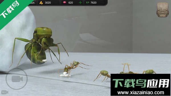 蚂蚁模拟大亨免费下载安装(Ant Sim Tycoon)最新版截图3