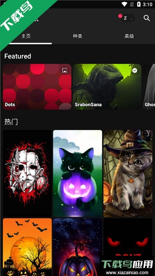 zedge壁纸官方下载最新版截图3