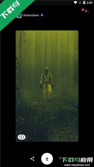 zedge壁纸官方下载最新版截图4