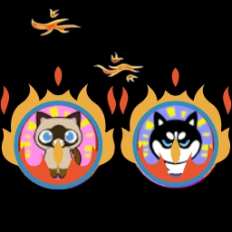 猫狗大作战游戏最新版