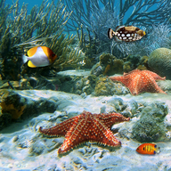 大鱼我不怕你游戏最新版