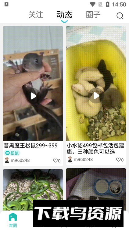 宠都app手机版最新版截图2