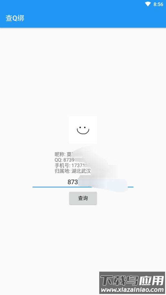 查q绑在线查询软件截图1
