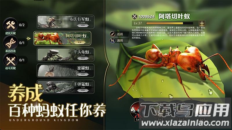 小小蚁国37端最新版截图1