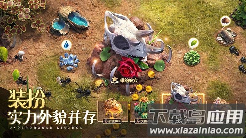 小小蚁国37端最新版截图2