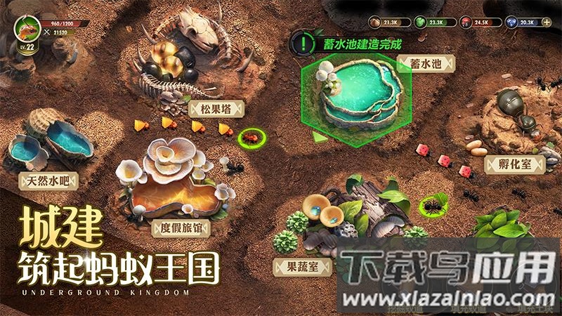 小小蚁国37端最新版截图3