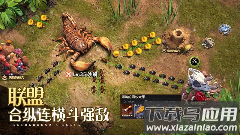 小小蚁国37端最新版截图5