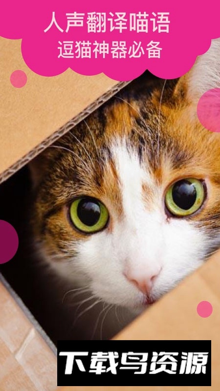 猫语翻译软件中文版免费版本最新版截图3