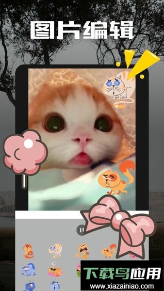 am视频剪辑软件汉化版最新版截图2