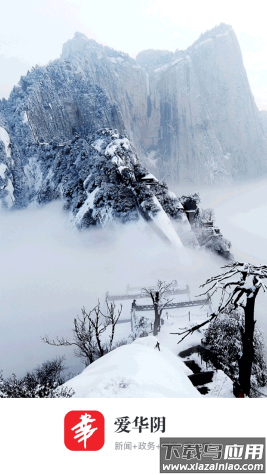 爱华阴app最新版截图5