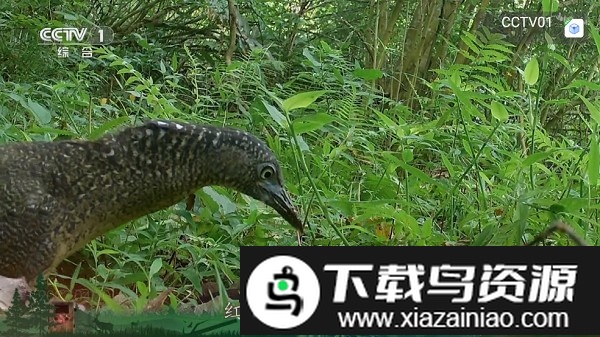 THBOX电视盒子截图3