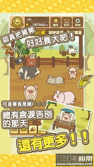 养猪场MIX最新版下载最新版截图1
