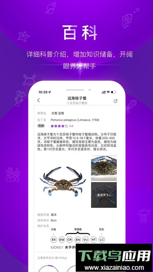 问鱼app手机最新版最新版截图1