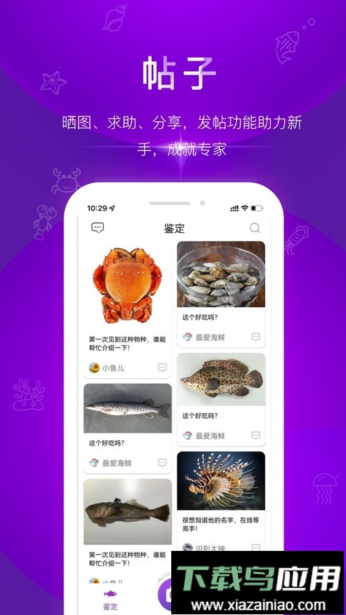 问鱼app手机最新版最新版截图3