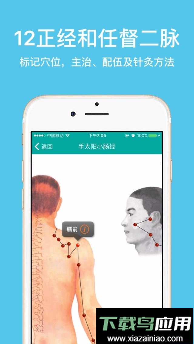 大中医宝典官方版最新版截图1
