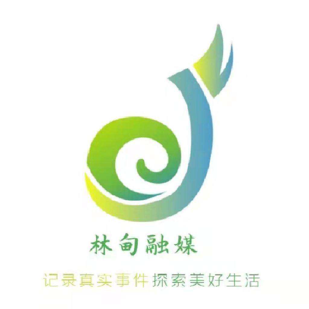 掌上林甸app安卓下载