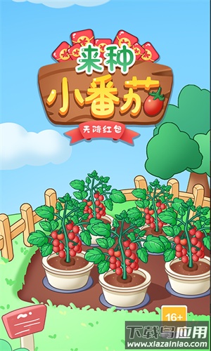 来种小番茄游戏截图1
